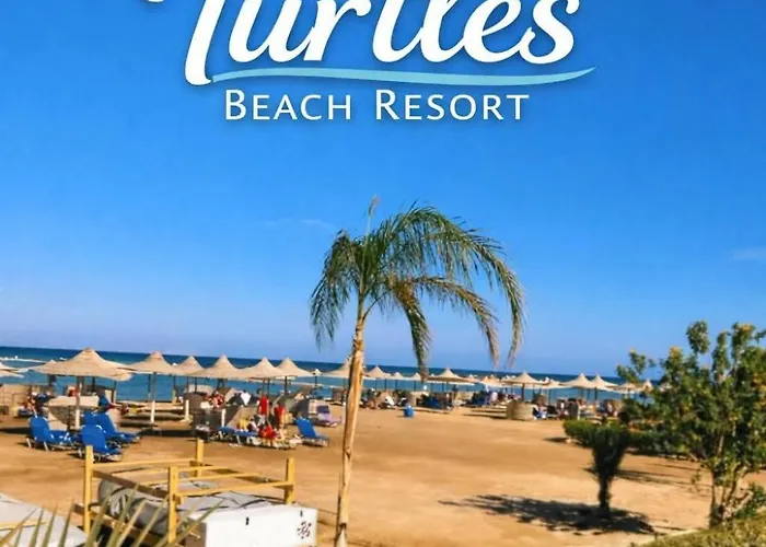 Turtles - Hotel